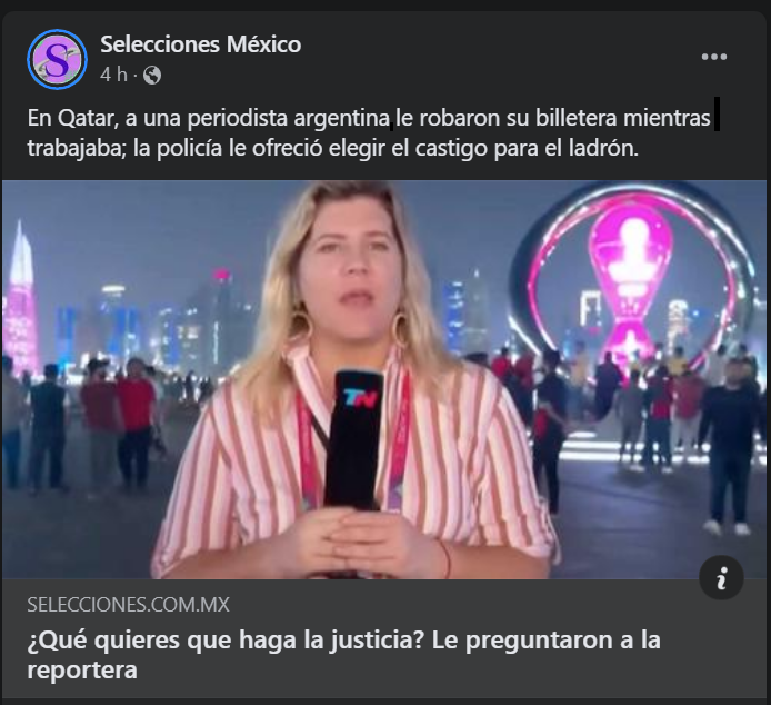 PERIODISTA ARGENTINA