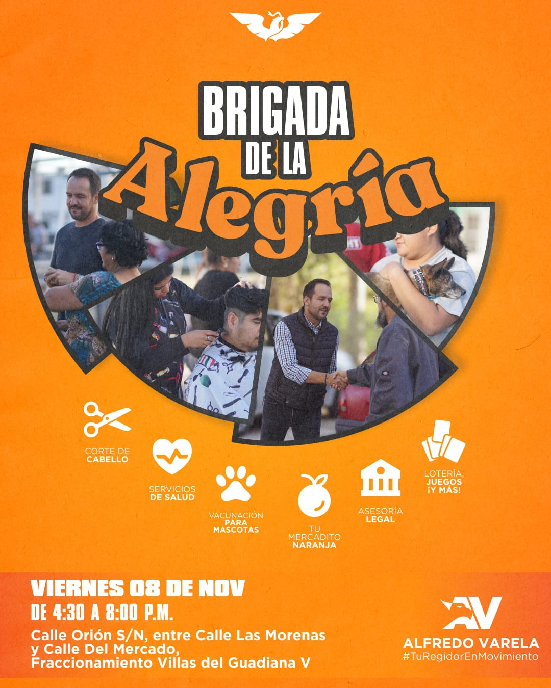 BRIGADA DE ALEGRIA